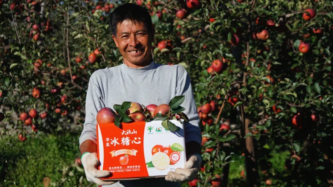 国货农品新机遇 当乡土风味拥抱“百亿补贴”