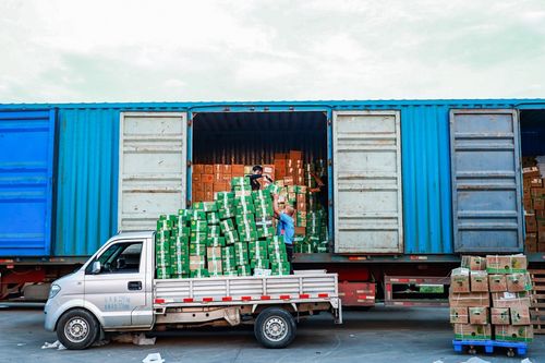 菜鸟爱心助农绿色通道 为农户破解农产品滞销难题