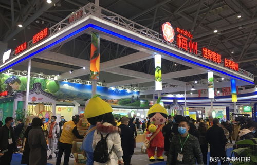 梅州名优特农产品组团亮相山城重庆，展现初级农产品原生态魅力