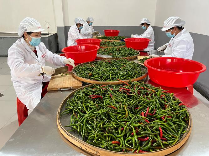 石鼓镇:大力发展农产品加工 激活乡村振兴新动能