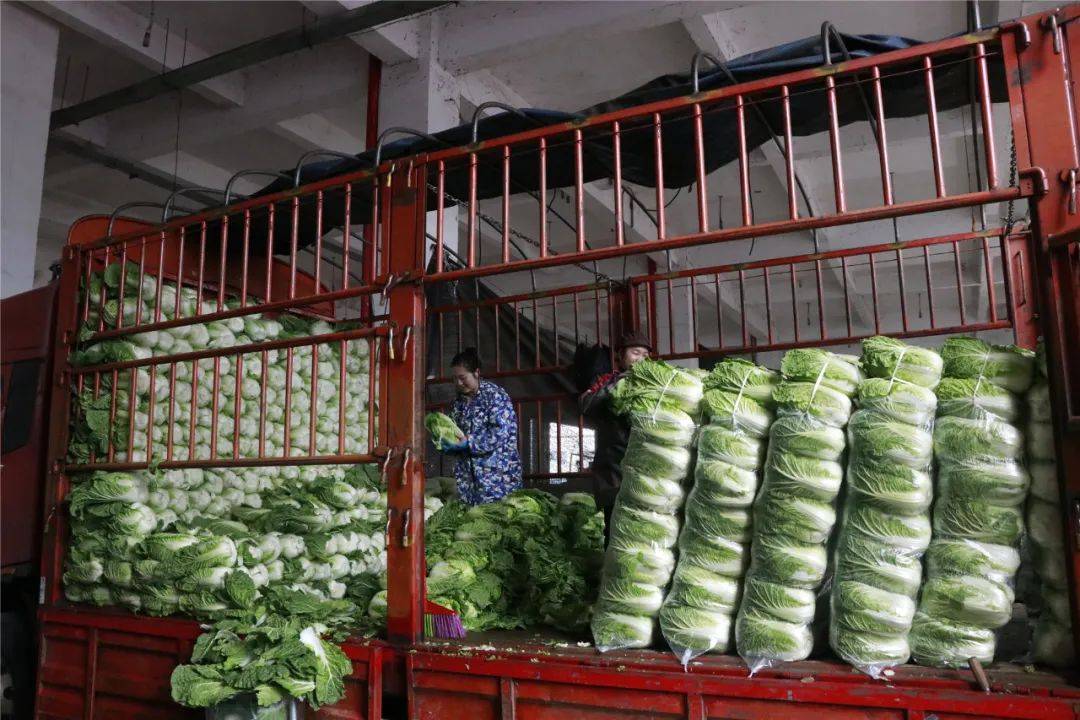 备战春节 银田农产品物流园货物充足，保障初级农产品供应