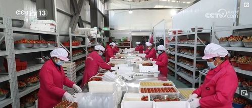 开发衍生农产品，发展创意农业 乡村振兴展现别样美